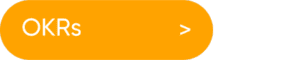 OKR software